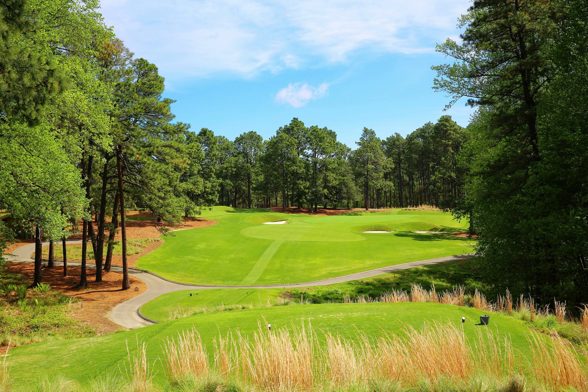 Pine Needles Lodge & Golf Club Southern Pines Zewnętrze zdjęcie